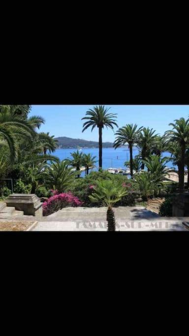 Le Dyonisos Et Piscine Apartment La Seyne-sur-Mer Exterior foto