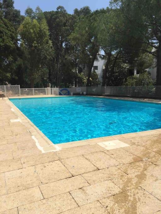 Le Dyonisos Et Piscine Apartment La Seyne-sur-Mer Exterior foto
